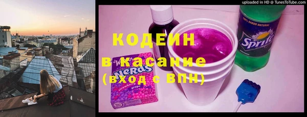 молекула духа Вяземский