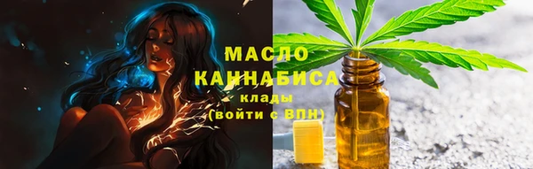 молекула духа Вяземский