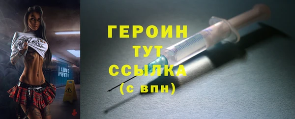 молекула духа Вяземский