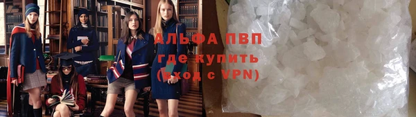 молекула духа Вяземский