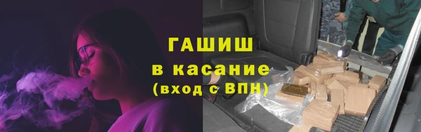 молекула духа Вяземский