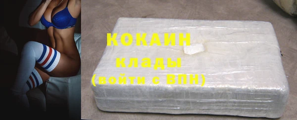 молекула духа Вяземский