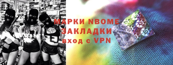 молекула духа Вяземский
