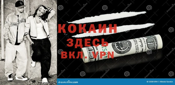 молекула духа Вяземский