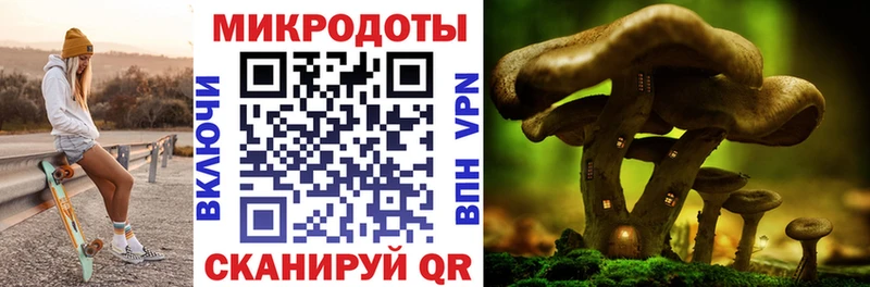 Галлюциногенные грибы MAGIC MUSHROOMS  Купить где  Злынка 